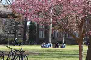 People sitting around a tree