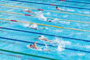 Aquatic swimmers racing