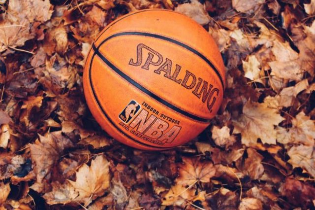Basketball from above sitting in leaves