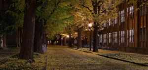dark college road