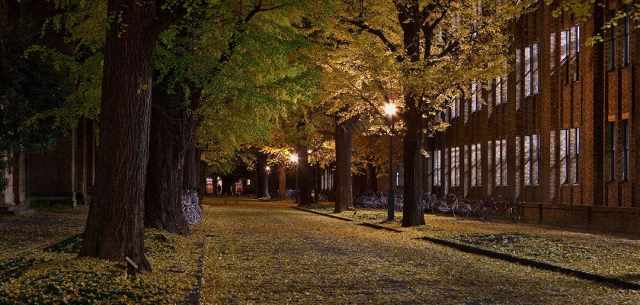 dark college road