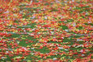 A view of confetti on the ground after Super Bowl LIV