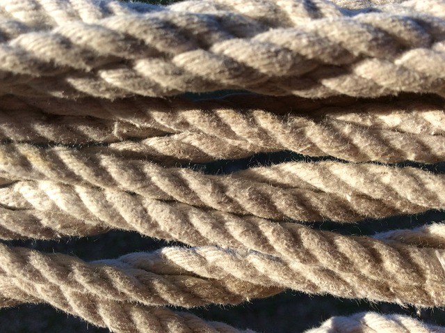 thick, twisted ropes