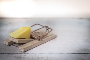 mouse trap with a chunk of cheese in it