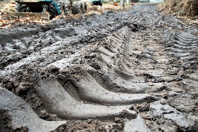 road ruts